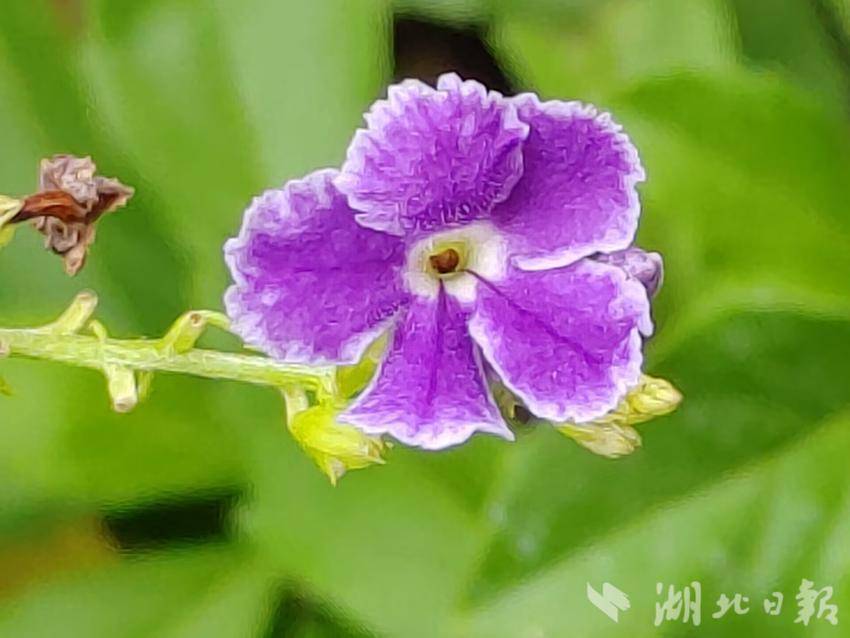 新濠天地线上平台